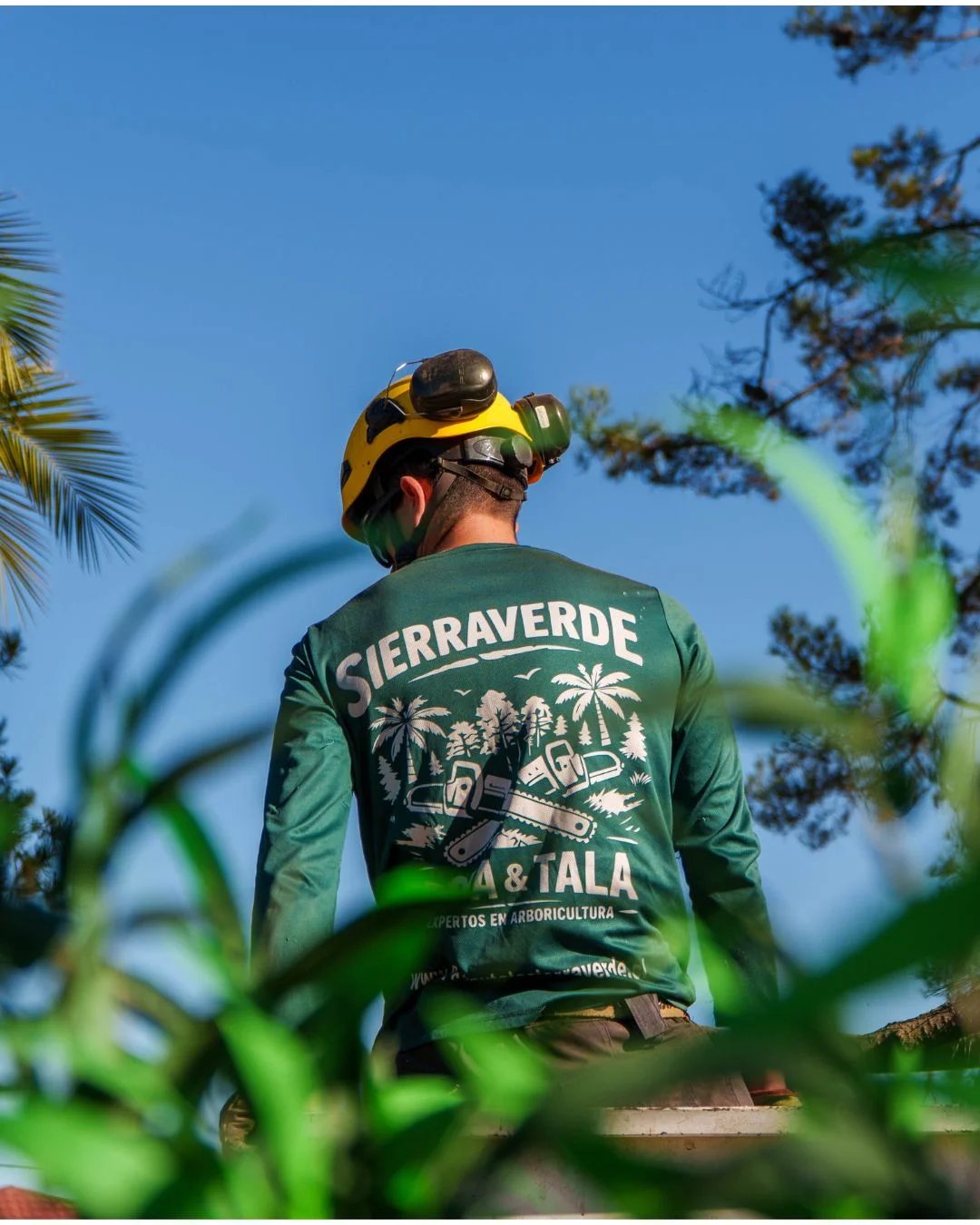 Equipo Sierra Verde