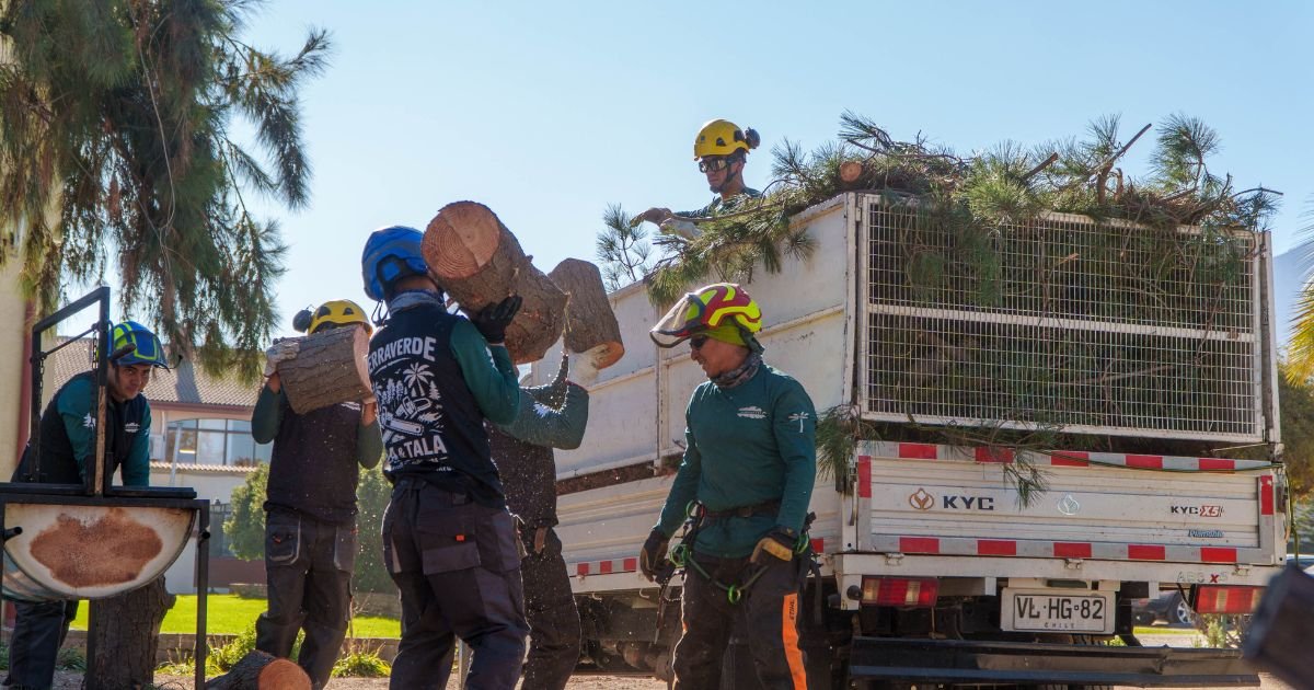 Equipo de operarios junto al camión de retiro forestal